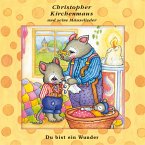 22: Du bist ein Wunder (MP3-Download)