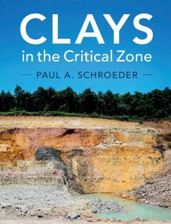 Clays in the Critical Zone (eBook, ePUB) - Schroeder, Paul A.