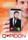 Q*pidon (eBook, ePUB)