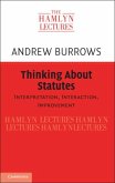 Thinking about Statutes (eBook, PDF)