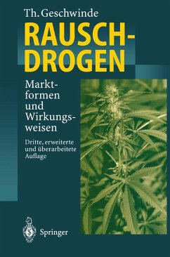 Rauschdrogen (eBook, PDF) - Geschwinde, Thomas