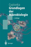 Grundlagen der Mikrobiologie (eBook, PDF)