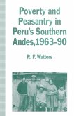 Poverty and Peasantry in Peru's Southern Andes, 1963-90 (eBook, PDF)