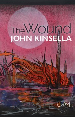 The Wound (eBook, ePUB) - Kinsella, John