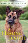 A Healing Justice (eBook, ePUB)