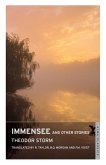 Immensee (eBook, ePUB)