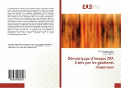 Dématriçage d¿images CFA 8 bits par les gradients diagonaux - Libouga Li Gwet, David;Boukar, Ousman;Bitjoka, Laurent