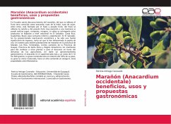 Marañón (Anacardium occidentale) beneficios, usos y propuestas gastronómicas - Intriago Caravedo, Patricia