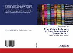 Tissue Culture Techniques for Rapid Propagation of Selected Cassava