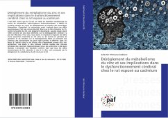 Dérèglement du métabolisme du zinc et ses implications dans le dysfonctionnement cérébral chez le rat exposé au cadmium - Ben Mimouna Gaddour, Safa