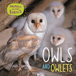 Animals and their Babies: Owls & Owlets - Lynch, Annabelle