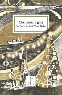 Cover Christmas Lights
