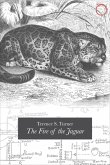 Fire of the Jaguar (eBook, ePUB)