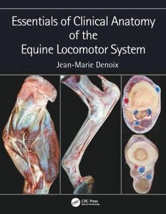 Essentials of Clinical Anatomy of the Equine Locomotor System - Denoix, Jean-Marie