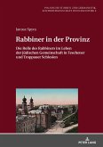 Rabbiner in der Provinz (eBook, ePUB)