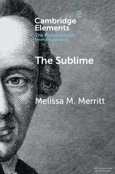 Sublime (eBook, ePUB)