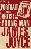 Portrait of The Artist as a Young Man (eBook, ePUB)