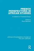 French Perspectives in African Studies (eBook, PDF)