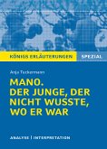 Mano. Der Junge, der nicht wusste, wo er war. Königs Erläuterungen. (eBook, ePUB)