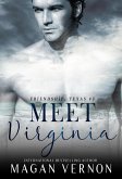 Meet Virginia (Friendship Texas, #3) (eBook, ePUB)
