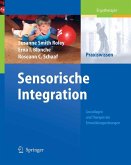 Sensorische Integration (eBook, PDF)