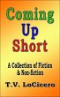 Coming Up Short (eBook, ePUB) - Bild 1