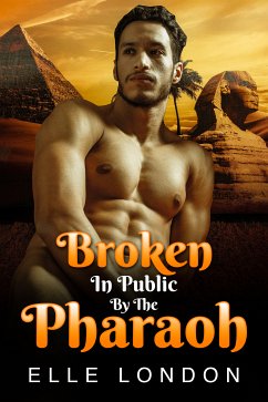 Broken In Public By The Pharaoh (eBook, ePUB) - London, Elle