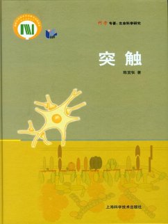 Cover Synapse (eBook, PDF)