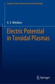 Electric Potential in Toroidal Plasmas