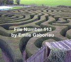 File No. 113 (eBook, ePUB)