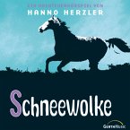 03: Schneewolke (MP3-Download)