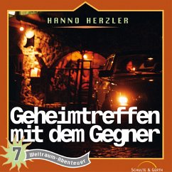 07: Geheimtreffen mit dem Gegner (MP3-Download) - Herzler, Hanno
