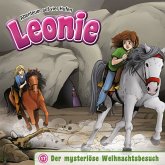 17: Der mysteriöse Weihnachtsbesuch (MP3-Download) 17: Der mysteriöse Weihnachtsbesuch (MP3-Download)