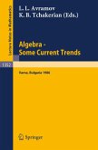 Algebra. Some Current Trends (eBook, PDF)