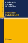 Séminaire de Probabilités XIII (eBook, PDF)