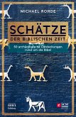 Schätze der biblischen Zeit (eBook, ePUB)