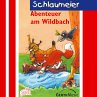 04: Abenteuer am Wildbach (MP3-Download) - Bild 1