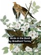 Birds in the Bush (eBook, ePUB) - Bild 1