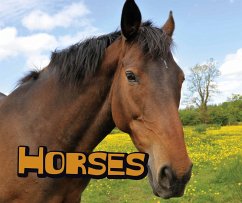 Cover Horses (eBook, PDF)