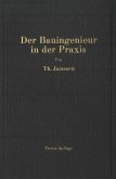 Der Bauingenieur in der Praxis (eBook, PDF)