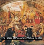 The Palace of Pleasure (eBook, ePUB)