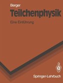 Teilchenphysik (eBook, PDF)