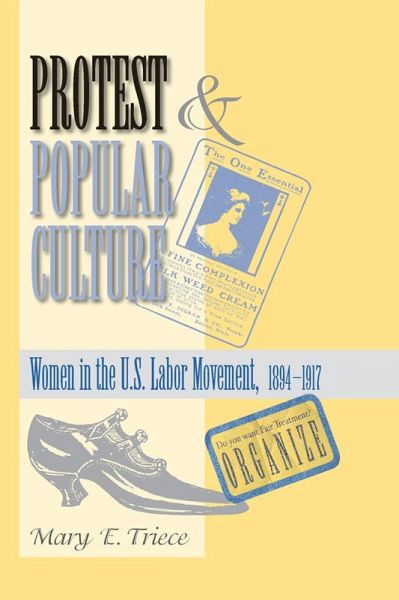 Protest And Popular Culture (eBook, ePUB)