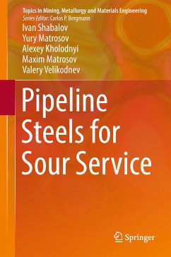 Pipeline Steels for Sour Service (eBook, PDF) - Shabalov, Ivan; Matrosov, Yury; Kholodnyi, Alexey; Matrosov, Maxim; Velikodnev, Valery