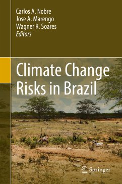 Climate Change Risks in Brazil (eBook, PDF)