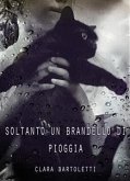 Soltanto un brandello di pioggia (eBook, ePUB)