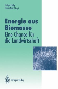 Cover Energie aus Biomasse (eBook, PDF)