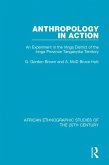 Anthropology in Action (eBook, PDF)