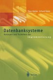 Datenbanksysteme (eBook, PDF)
