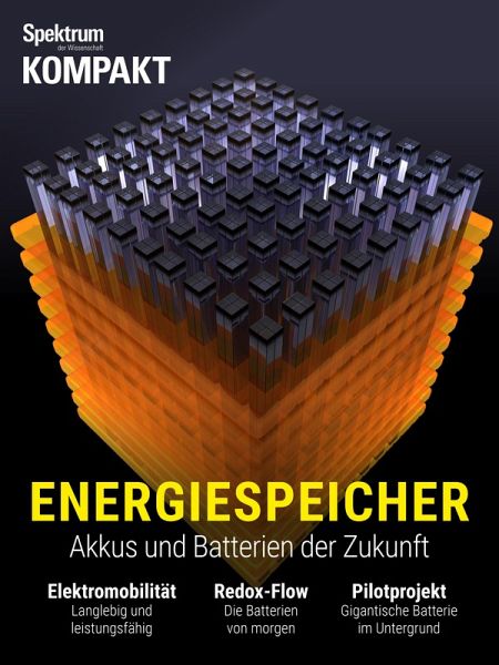 Spektrum Kompakt - Energiespeicher (eBook, PDF)
